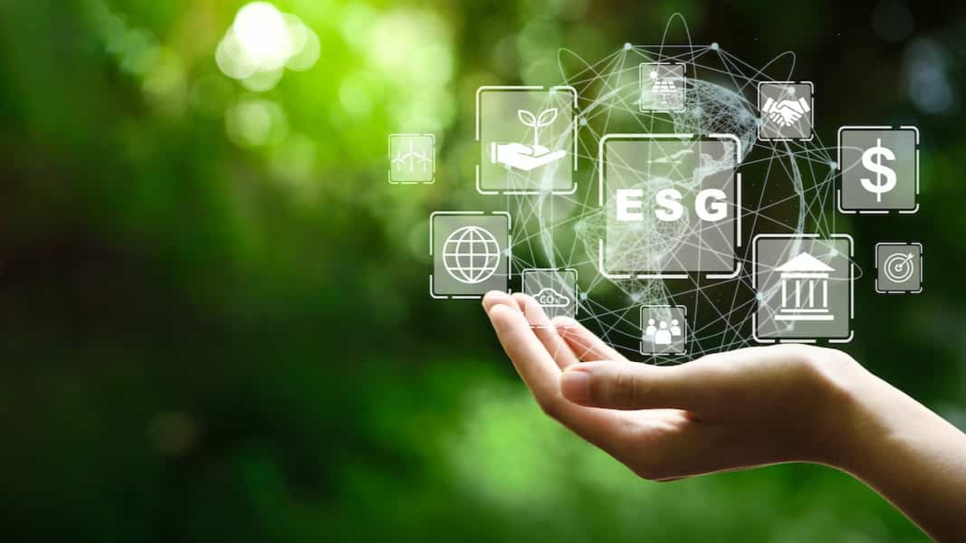 ESG Demystified: How SMEs Can Incorporate ESG Principles into their Business 